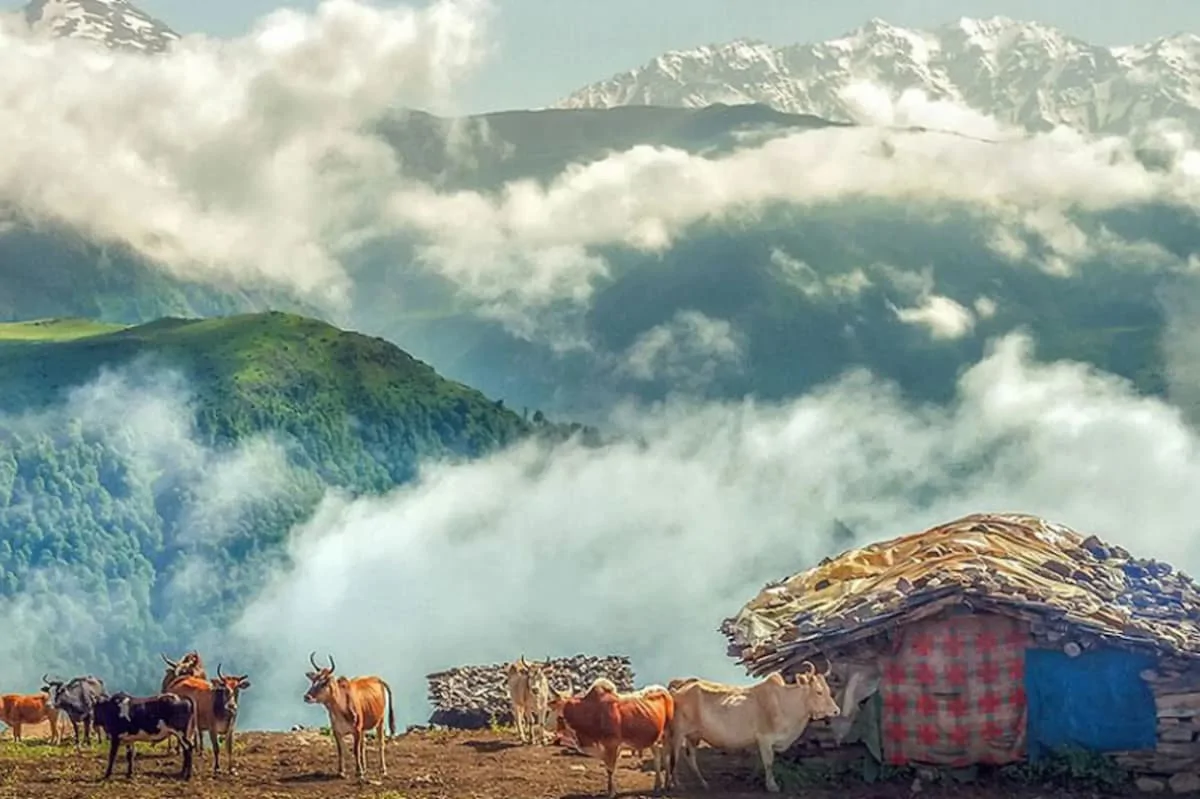 عکس من