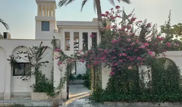 کوت