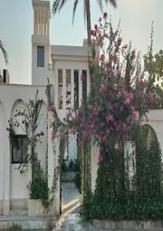 کوت