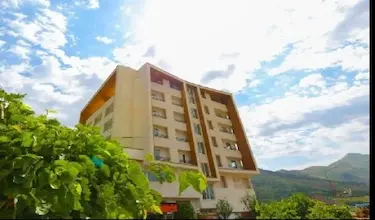 داوینکو