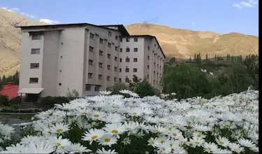 گاجره