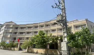 همیاران
