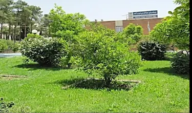 جهانگردی