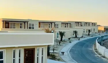 باراکودا