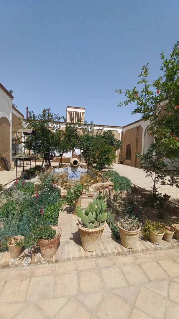 گل بی بی