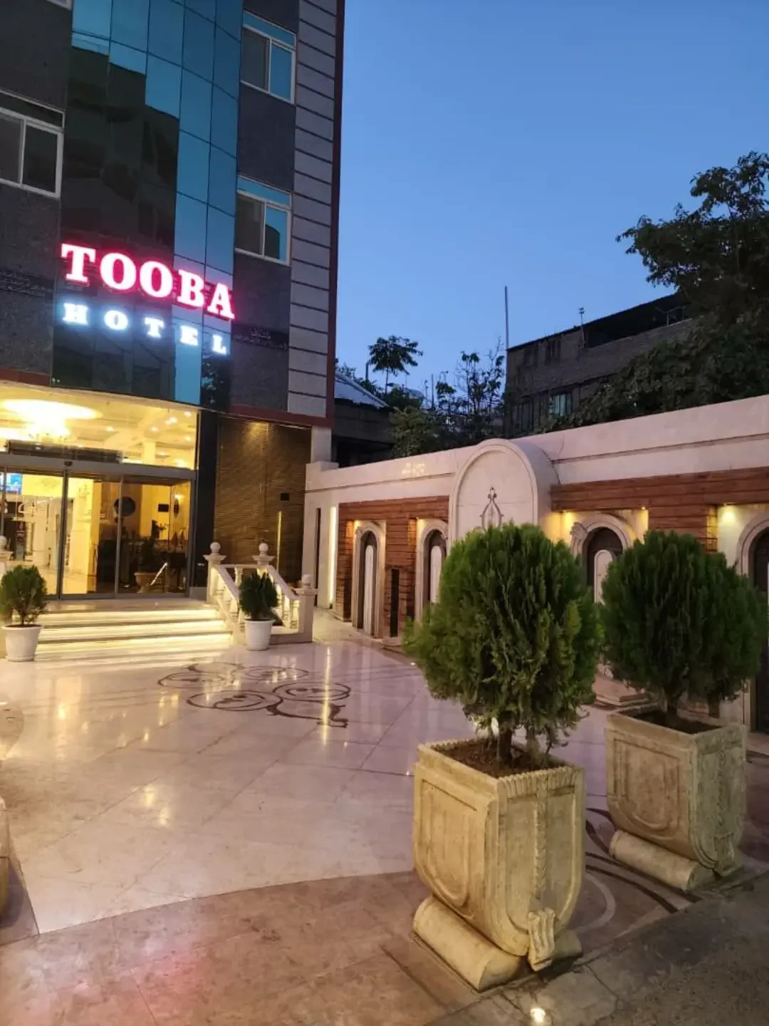طوبی