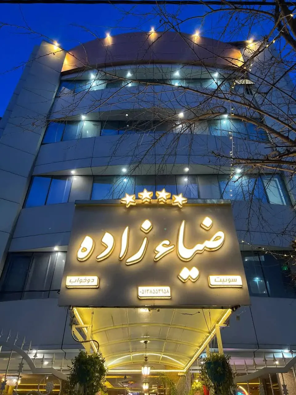 ضیاء زاده