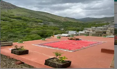 تاو