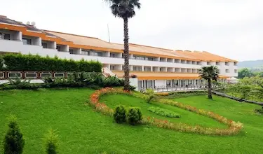جنگلی سالاردره