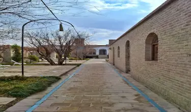 طرفه سپیدار
