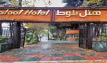 بلوط