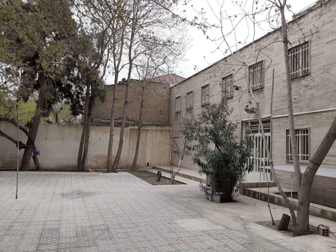 ایرانفرد