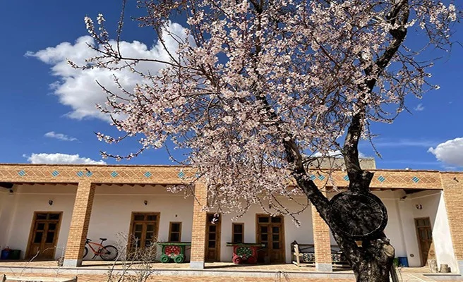 ساتی